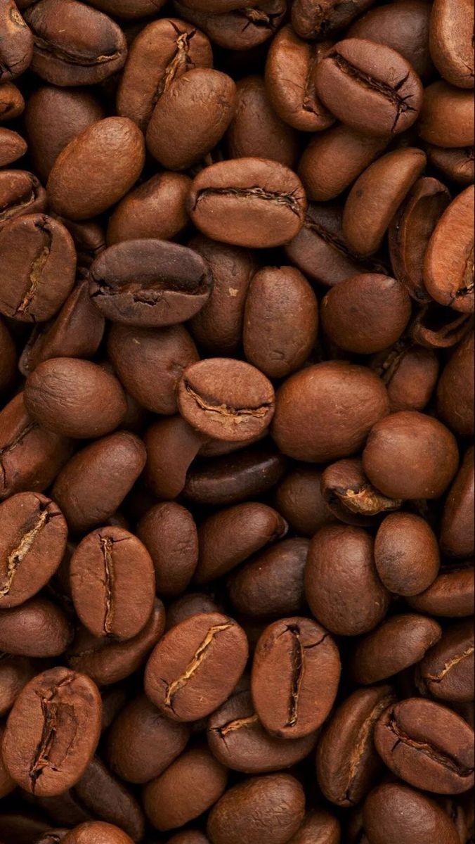 Close-up of roasted coffee beans